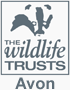 Avon Wildlife Trust logo